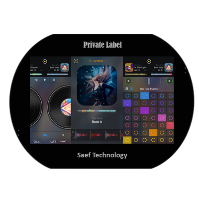 China Factory Supply 10.1 Inch TFT LCD Display 1280x800 Pixels IPS Type LVDS With CTP